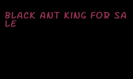 black ant king for sale