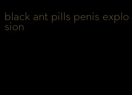 black ant pills penis explosion