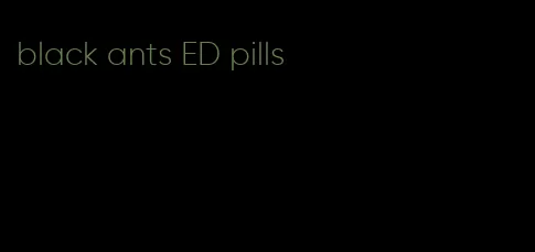 black ants ED pills