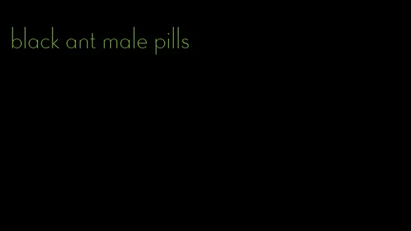 black ant male pills