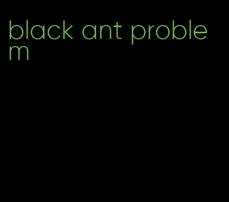 black ant problem