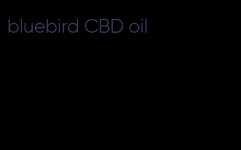 bluebird CBD oil