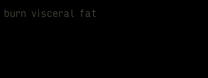 burn visceral fat