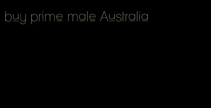 buy prime male Australia