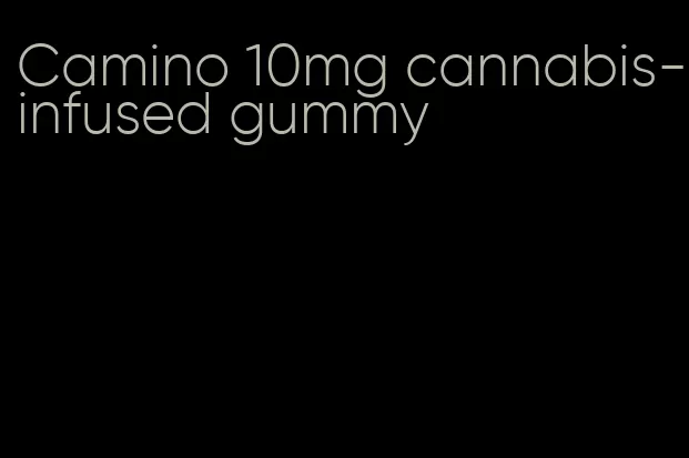 Camino 10mg cannabis-infused gummy