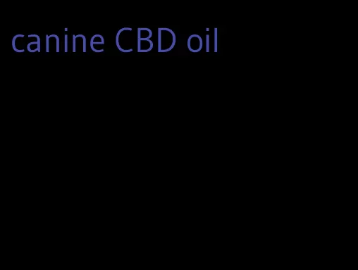 canine CBD oil