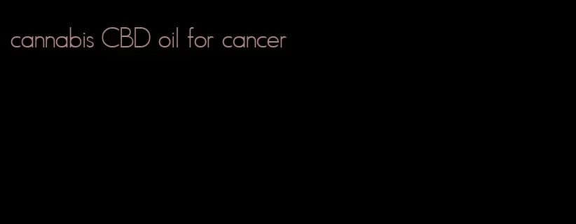 cannabis CBD oil for cancer