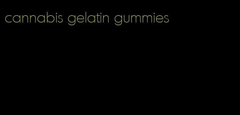 cannabis gelatin gummies