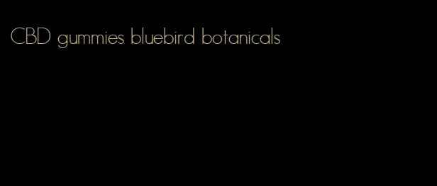 CBD gummies bluebird botanicals