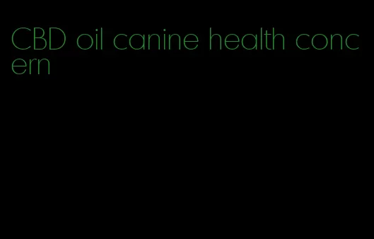 CBD oil canine health concern