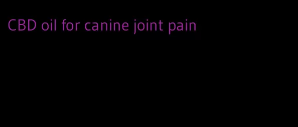 CBD oil for canine joint pain