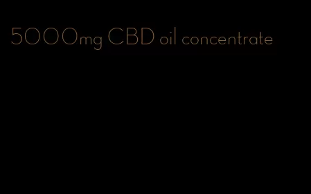 5000mg CBD oil concentrate