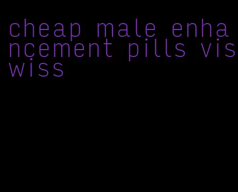 cheap male enhancement pills viswiss