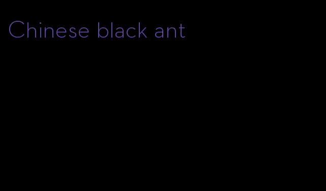 Chinese black ant