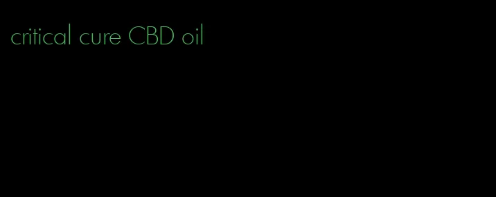 critical cure CBD oil