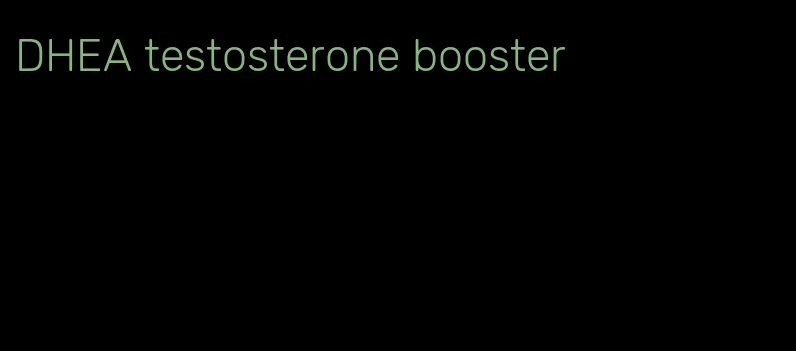 DHEA testosterone booster