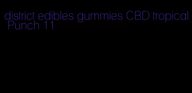 district edibles gummies CBD tropical Punch 11