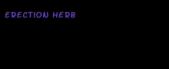 erection herb