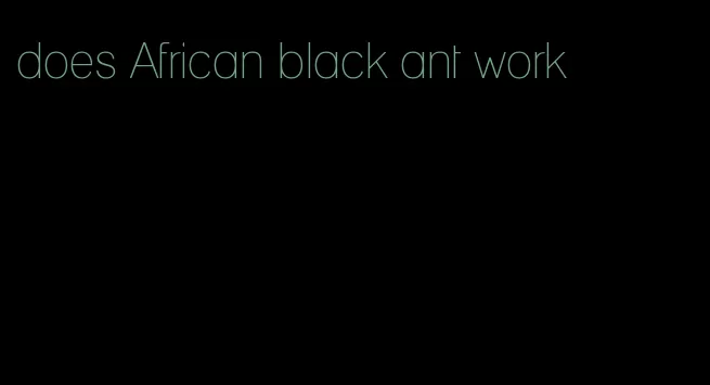 does African black ant work