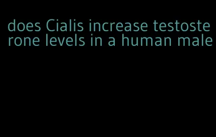 does Cialis increase testosterone levels in a human male