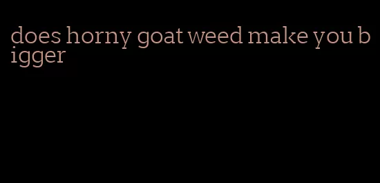 does horny goat weed make you bigger