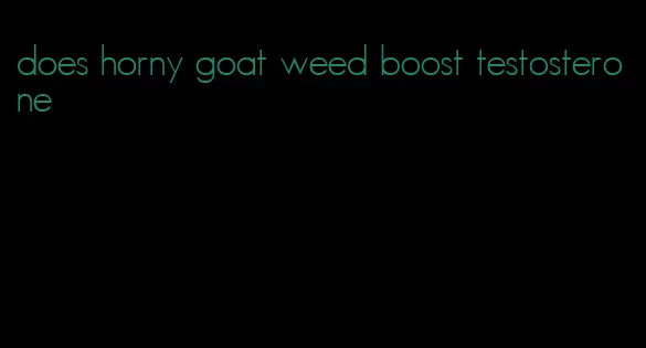 does horny goat weed boost testosterone