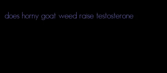 does horny goat weed raise testosterone