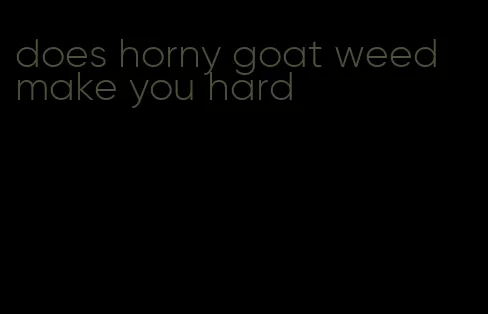 does horny goat weed make you hard