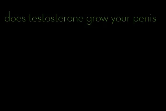 does testosterone grow your penis