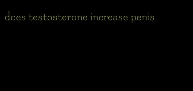 does testosterone increase penis