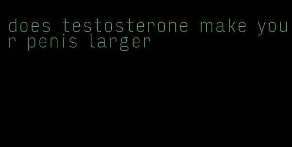 does testosterone make your penis larger