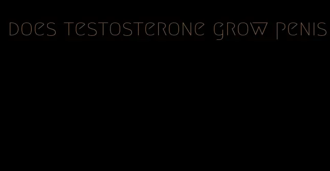 does testosterone grow penis