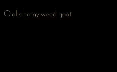 Cialis horny weed goat