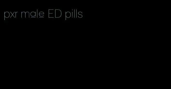 pxr male ED pills