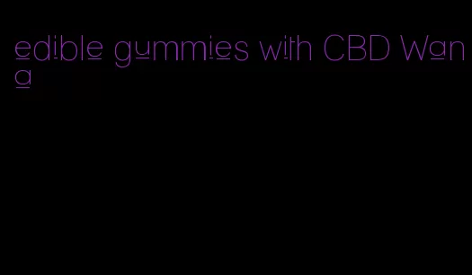 edible gummies with CBD Wana