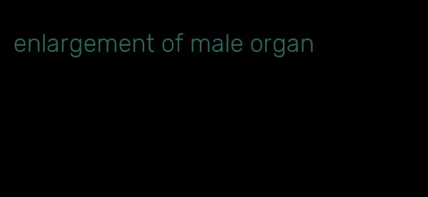 enlargement of male organ