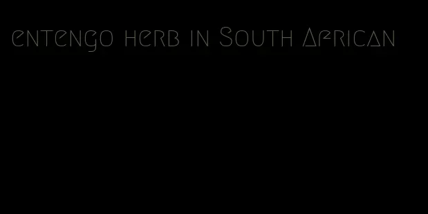 entengo herb in South African