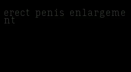 erect penis enlargement