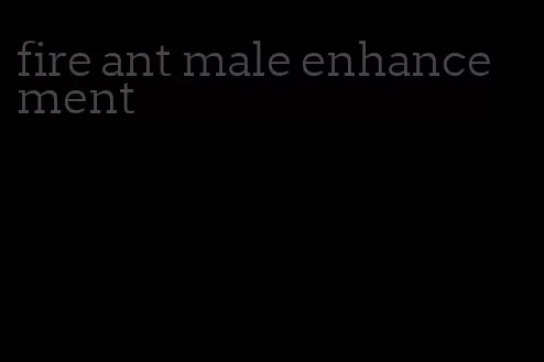 fire ant male enhancement