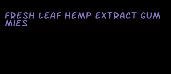 fresh leaf hemp extract gummies