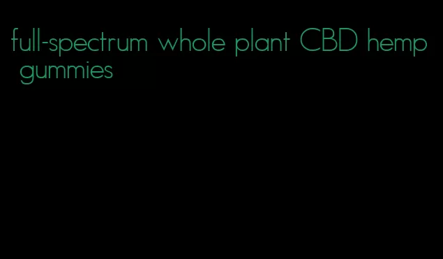 full-spectrum whole plant CBD hemp gummies