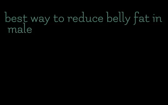 best way to reduce belly fat in male