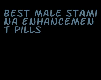 best male stamina enhancement pills