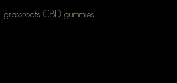 grassroots CBD gummies