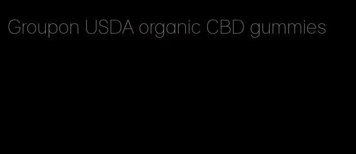 Groupon USDA organic CBD gummies