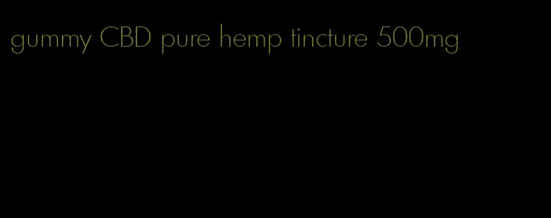 gummy CBD pure hemp tincture 500mg