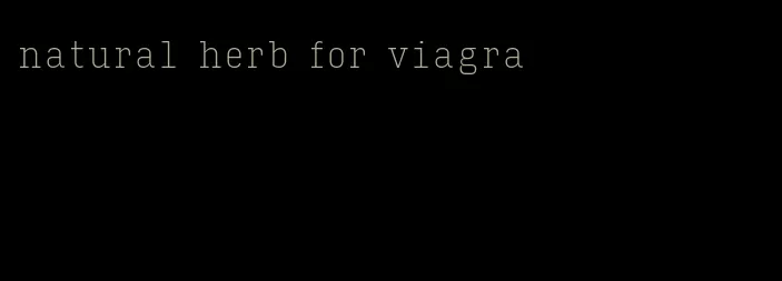 natural herb for viagra