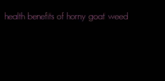 health benefits of horny goat weed