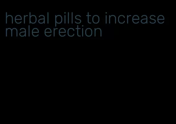 herbal pills to increase male erection