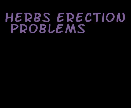 herbs erection problems